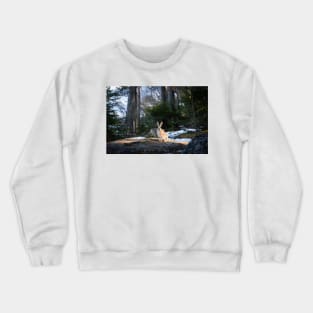 Lepus europaeus in the forest Crewneck Sweatshirt